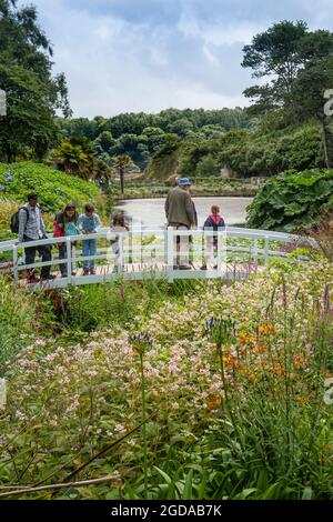 Besucher stehen auf der dekorativen Fußgängerbrücke über den Mallard Pond in den üppigen subtropischen Küstengärten von Trebah Gardens in Cornwall. Stockfoto