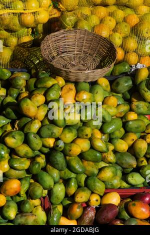 Orangen und Mangos zum Verkauf in einer Bar auf dem offenen Markt. Camaçari, Bahia, Brasilien. Stockfoto