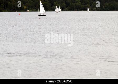 Essen, Deutschland. August 2021. Wassersportler nutzen das warme Sommerwetter und segeln mit ihren Booten auf dem Lake Baldeney. Der Sommer ist wieder in NRW - Meteorologen erwarten am Donnerstag Temperaturen von bis zu 30 Grad. Quelle: Federico Gambarini/dpa/Alamy Live News Stockfoto