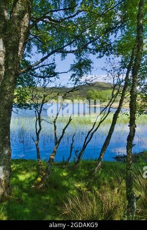 Wunderschönes Loch Tarff, B862, in der Nähe von Fort Augustus, auf der geheimen Südseite von loch Ness, Tourist, Wandern, Besucher, Wandern, Ruhig, unentdecktes, südliches, Loc Stockfoto