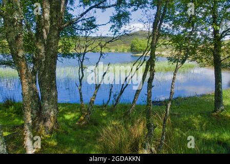 Wunderschönes Loch Tarff, B862, in der Nähe von Fort Augustus, auf der geheimen Südseite von loch Ness, Tourist, Wandern, Besucher, Wandern, Ruhig, unentdecktes, südliches, Loc Stockfoto