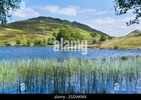 Wunderschönes Loch Tarff, B862, in der Nähe von Fort Augustus, auf der geheimen Südseite von loch Ness, Tourist, Wandern, Besucher, Wandern, Ruhig, unentdecktes, südliches, Loc Stockfoto