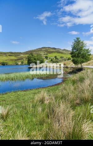 Schönes Loch Tarff, B862, in der Nähe von Fort Augustus, Radfahrer, Radfahren, Auf der geheimen Südseite von loch Ness, Tourist, Walking, Visitor, Walking, Ruhig, undis Stockfoto