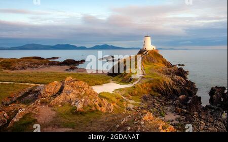 Tŵr Mawr Leuchtturm bei Sonnenuntergang, Anglesey, Nordwales Stockfoto