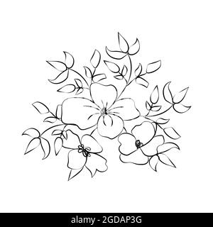 Sommergarten blühende Blumen monochrome Illustration, Skizze, handgezeichnet. Stock Vektor