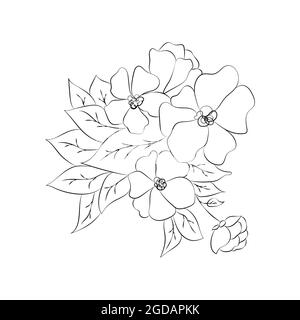 Sommergarten blühende Blumen monochrome Illustration, Skizze, handgezeichnet. Stock Vektor