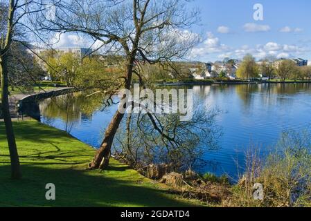 Heller, sonniger Tag am Linlithgow loch, Peel. West Lothian, Central Scotland, Großbritannien. Stockfoto