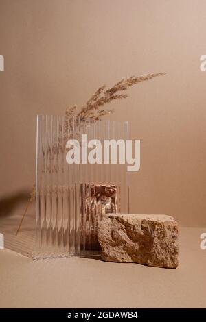 Podestständer und strukturiertes Glas auf pastellfarbenem Hintergrund mit natürlicher Pflanze. Mock up für die Ausstellungen, Präsentation der Produkte, Entspannung und Gesundheit. Stockfoto