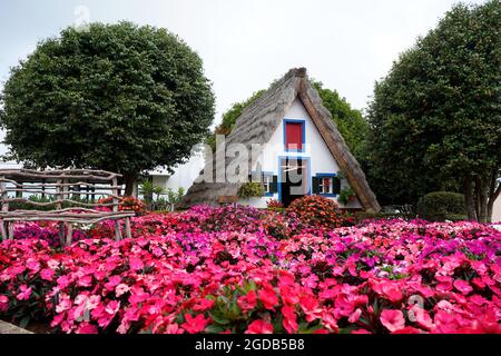Santana, Madeira Island - 08/27/2020: Traditionelles Haus und helle Blumen im Osten von Madeira Stockfoto