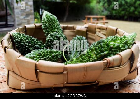 Bittergourd oder Bittermelonen im Korb gestapelt. Grünes Gemüse verschiedene Größen von Karela in Weidenkorb mit Outdoor-Feldhaus Hintergrund Stockfoto