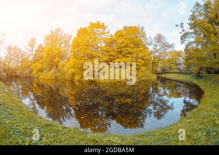 Herbstpark mit gelbem Laubpanorama, mit einem runden Teich und einer Insel im Zentrum Stockfoto
