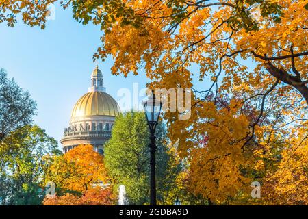 Isaakskathedrale im Herbst, gelb-orange Blätter, Straßenlaternen, Sankt Petersburg Stockfoto