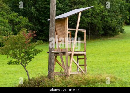 Eine hölzerne Kanzel eines Jägers, der neben einer Schlinge auf dem Feld steht, ein dichter Wald im Hintergrund. Stockfoto