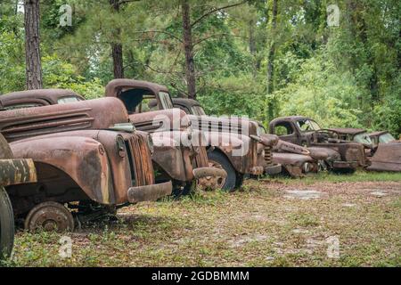 Alte verrostete Ford Pickup Trucks Stockfoto