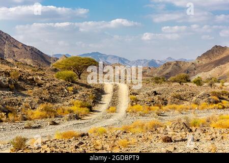 Kupferwanderweg, kurvige Schotterstraße durch das Wadi Ghargur-Flussbett und die felsigen Haschar-Berge aus Kalkstein in Hatta, Vereinigte Arabische Emirate. Stockfoto