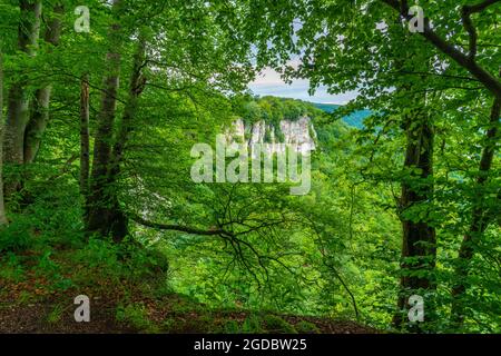 Das Rutschefelsen-Gestein im Biosphärenreservat Biosphärengebiet Schwäbische Alb, Baden-Württemberg, Süddeutschland, Europa Stockfoto