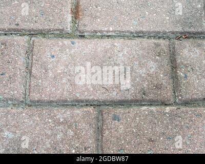 Alte Granitsteinfliesen auf dem Straßenbelag aus der Nähe Stockfoto