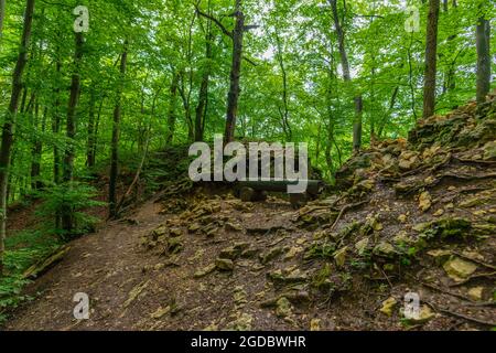 Entlang des Wanderweges Wasserfallsteig, Biosphärenreservat Schwäbische Alb, Baden-Württemberg, Süddeutschland, Europa Stockfoto