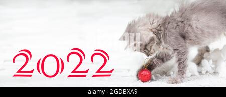 Banner mit dem Neujahr 2022 mit einem Kätzchen auf weißem Hintergrund im Schnee. Das Kätzchen spielt mit einem roten Weihnachtsball Stockfoto