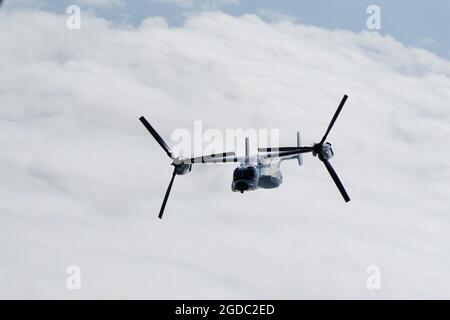 Die V-22 Osprey ist ein sehr beeindruckendes Kipprotorflugzeug und das neue Arbeitspferd für das US-Militär Stockfoto