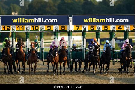 Läufer und Fahrer brechen von den Ständen ab, um das William Hill Free oder Four Racing League Race Seventeen auf der Lingfield Park Racecourse zu starten. Stockfoto