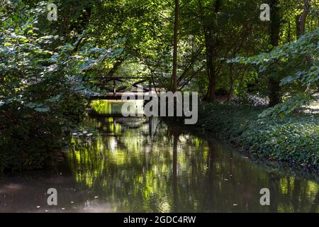 Kleine Holzbrücke über kleinen Teich in Sarvar arboretum, Sarvar, Ungarn Stockfoto