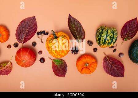 Herbstkomposition. Kürbisse, getrocknete Blätter, Nüsse und Zapfen auf neutralem orangefarbenem Hintergrund. Herbst, Herbst, halloween, Danksagetag Konzept. Flach liegend Stockfoto
