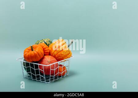 Moderner Drahtkorb mit dekorativen grünen und orangefarbenen Mini-Kürbissen auf dem grün-blau-türkisfarbenen Hintergrund. Herbst, Herbst, halloween, Danktag Stockfoto