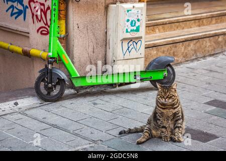 Istanbul Hauptattraktionen Editorial Stockfoto