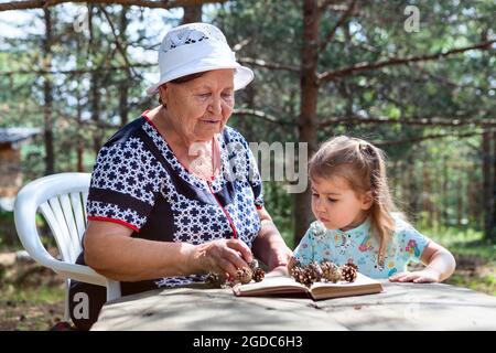 Kleines Mädchen mit Feldblumen in den Händen, das auf einem Holztisch in der Nähe ihrer Großmutter, dem Sommerwald, sitzt Stockfoto