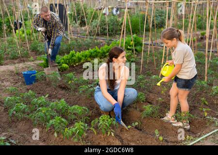 Kind Mädchen hilft ihren Eltern im Gemüsegarten arbeiten Stockfoto