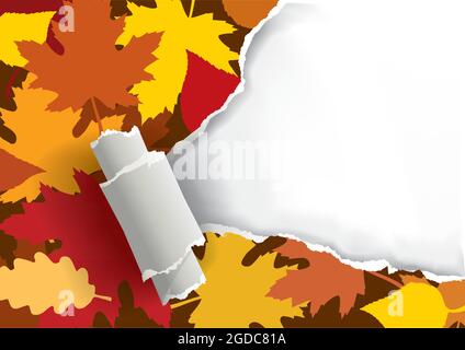 Zerrissenes Papier mit Herbstblättern. Illustration eines zerrissenen Papiers mit Herbstblättern. Platzieren Sie Ihr Bild oder Ihren Text. Vektor verfügbar. Stock Vektor