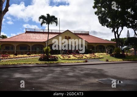 Oahu HI U.S.A. 6/3&6/2021. Dole Plantation. Gärten. Pineapple Express-Zug. Labyrinth. Souvenirladen. Leckere Ananas. ADA freundlich Stockfoto