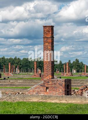 Freistehende Kamine im Konzentrationslager Auschwitz II-Birkenau, Oswiecim, Polen Stockfoto