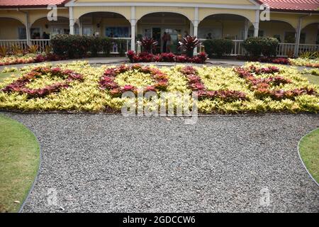 Oahu HI U.S.A. 6/3&6/2021. Dole Plantation. Gärten. Pineapple Express-Zug. Labyrinth. Souvenirladen. Leckere Ananas. ADA freundlich Stockfoto