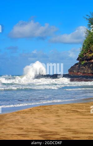 Starke Wellen treffen auf die felsige Küste des Lumaha'i Beach auf der Insel Kauai, Hawaii. Der türkisblaue Himmel und der Sandstrand tragen zu seiner Schönheit bei. Stockfoto