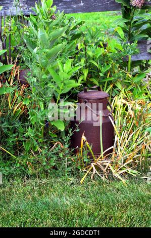 Neben einem rustikalen Holzzaun sitzt eine antike Milchkrübe im Unkraut begraben. Die Dose ist rostig und hat einen Deckel und einen Griff. Stockfoto