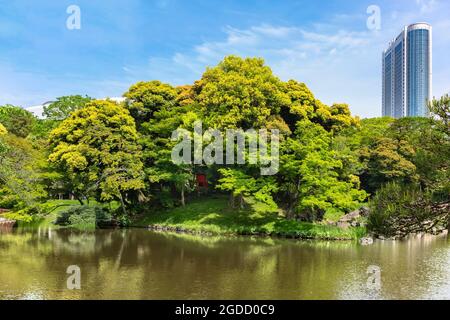 tokio, japan - Mai 03 2021: Japanischer Oizumisui-Teich mit in der Mitte einem winzigen schintoistischen Hokora-Schrein, der einem der sieben glücklichen Götter, dem gott, gewidmet ist Stockfoto