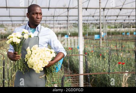 afroamerikanischer Mann mit Bouquet von frisch geschnittenen Nelkenblumen Stockfoto