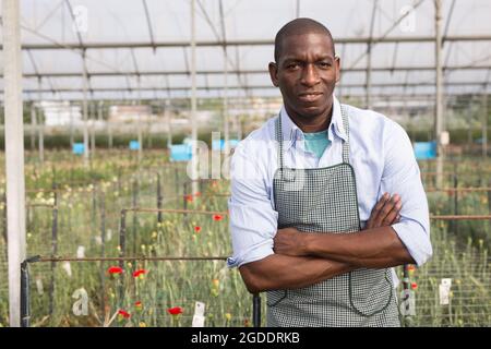 Porträt eines afroamerikanischen Floristen in Orangerie Stockfoto