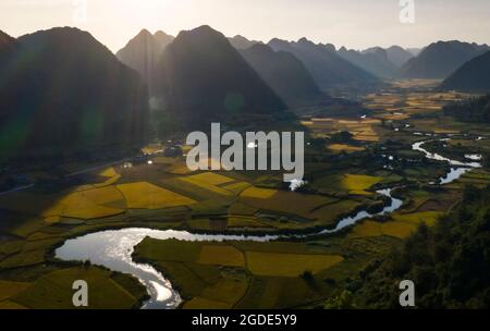 Nice Bac Son Reisfeld lang Son Provinz Nordvietnam Stockfoto