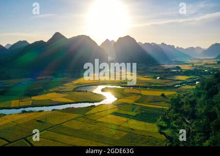 Nice Bac Son Reisfeld lang Son Provinz Nordvietnam Stockfoto