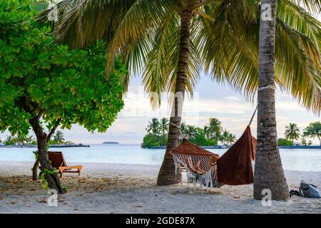 Ein Mann, der sich abends in einer Hängematte unter Palmen auf einer tropischen Insel entspannt Stockfoto