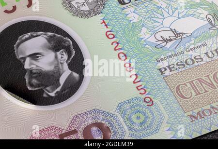 Nahaufnahme des uruguayischen Peso der Republik Uruguay. Polymer-Banknoten des südamerikanischen Landes. Detaillierte Aufnahme des Front-Art-Designs. Detailliert Stockfoto