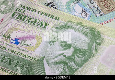 Nahaufnahme des uruguayischen Peso der Republik Uruguay. Polymer-Banknoten des südamerikanischen Landes. Detaillierte Aufnahme des Front-Art-Designs. Detailliert Stockfoto