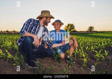Familienbauern stehen in ihrem wachsenden Maisfeld. Nach erfolgreicher Aussaat untersuchen sie die Pflanzen. Stockfoto