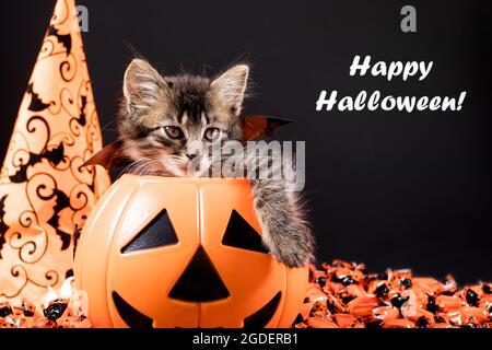 Happy Halloween-Karte. Eine Katze mit Flügeln sitzt in einem Kübel aus Kürbis auf einem schwarzen Hintergrund mit Text Stockfoto