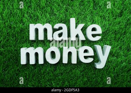 Verdienen Sie Geld aus Beton, Alphabet, Draufsicht auf grünem Gras Stockfoto