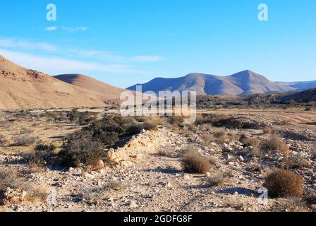 Wadi im Negev in Israel, Wüstenlandschaft Stockfoto