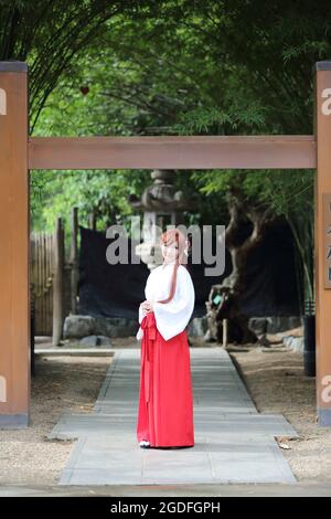 Asiatische Mädchen Porträt, japanische Miko in der Natur Stockfoto